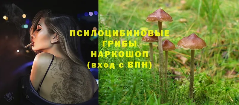 Псилоцибиновые грибы MAGIC MUSHROOMS  Демидов 